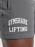 Gymshark Lifting Mesh 5