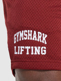Gymshark Lifting Mesh 7