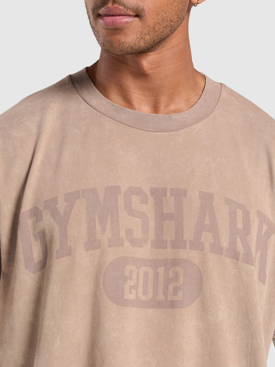 Gymshark Collegiate Shadow Washed T-Shirt — Stone Pink/Stone Acid Wash — 6
