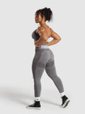Gymshark Flex High Waisted Leggings — Greyed Purple/White — 4