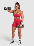 Gymshark Gains Seamless Washed Sports Bra — Carmine Red/Wash — 4