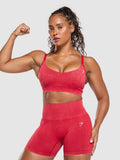 Gymshark Gains Seamless Washed Sports Bra — Carmine Red/Wash — 5