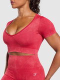 Gymshark Gains Seamless Washed Crop Top — Carmine Red/Wash — 6