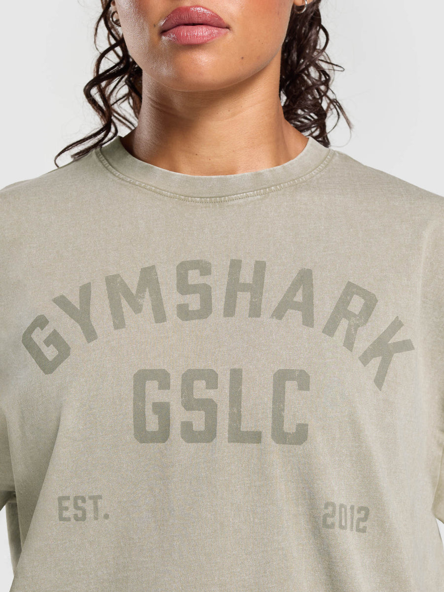 Gymshark 66 Washed Graphic Oversized T-Shirt — Linen Brown/Wash — 6