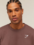 Gymshark Crest Oversized T-Shirt — Espresso Brown — 5