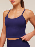 Gymshark Energise Seamless Crop Top — Indigo Purple — 6