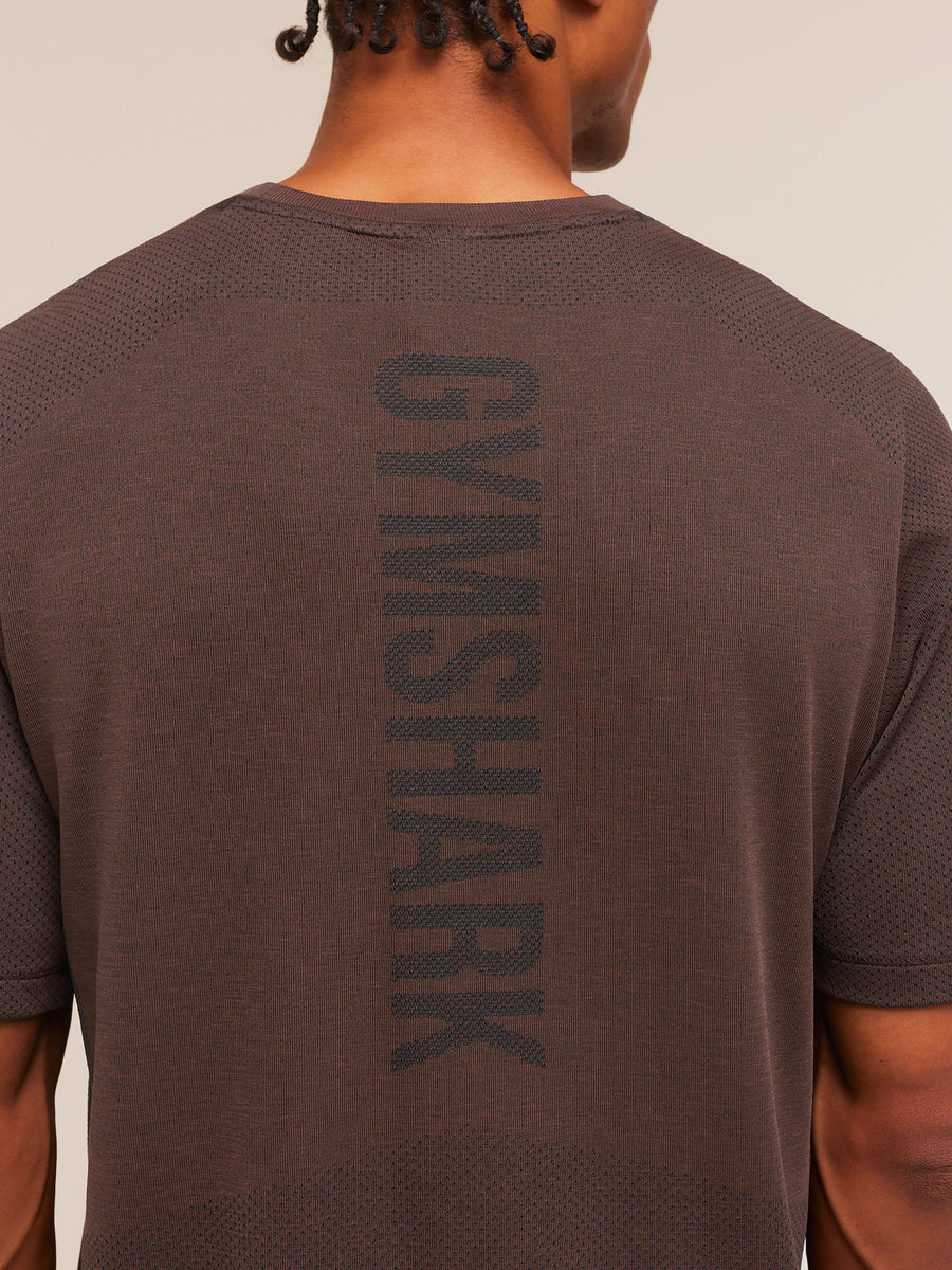 Gymshark Lightweight Seamless T-Shirt — Espresso Brown/Marl — 6