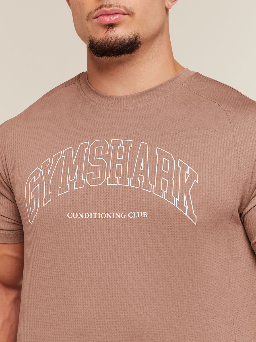 Gymshark Collegiate Tech T-Shirt — Taupe Brown — 5