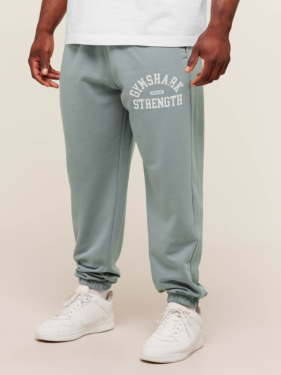 Gymshark 2012 Strength Joggers — Denim Grey — 3