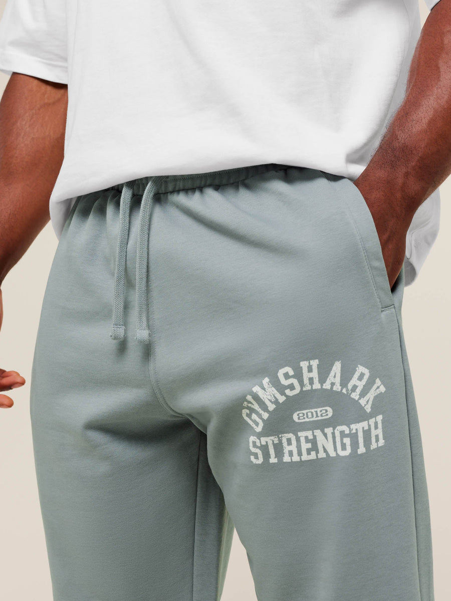 Gymshark 2012 Strength Joggers — Denim Grey — 5