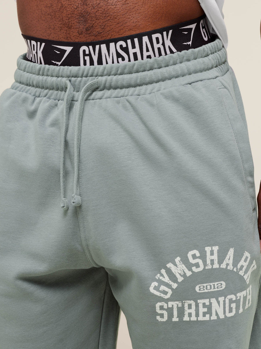 Gymshark 2012 Strength Joggers — Denim Grey — 6
