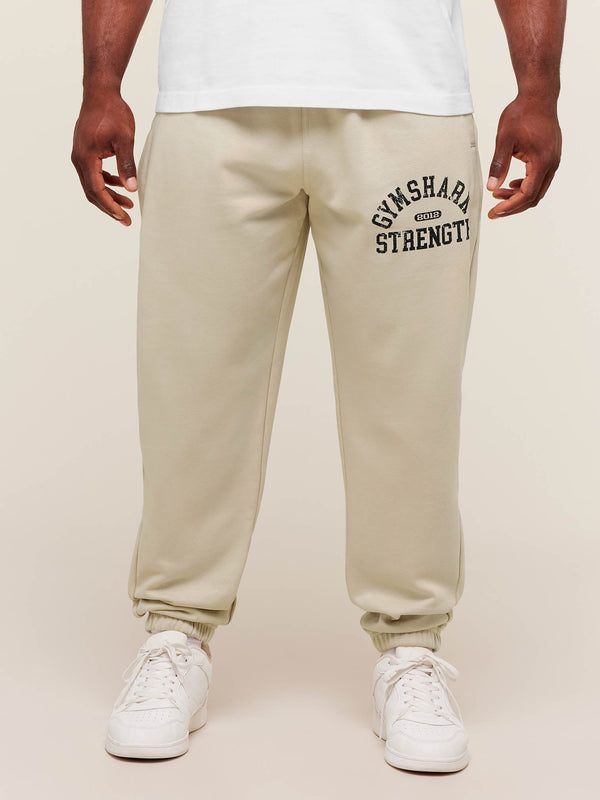 Gymshark 2012 Strength Joggers — Pebble Grey