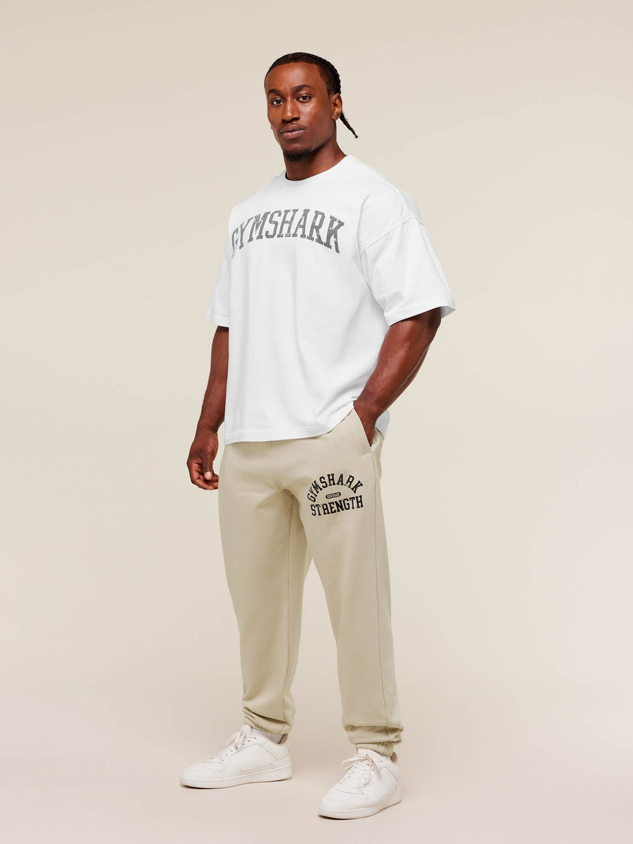 Gymshark 2012 Strength Joggers — Pebble Grey — 7