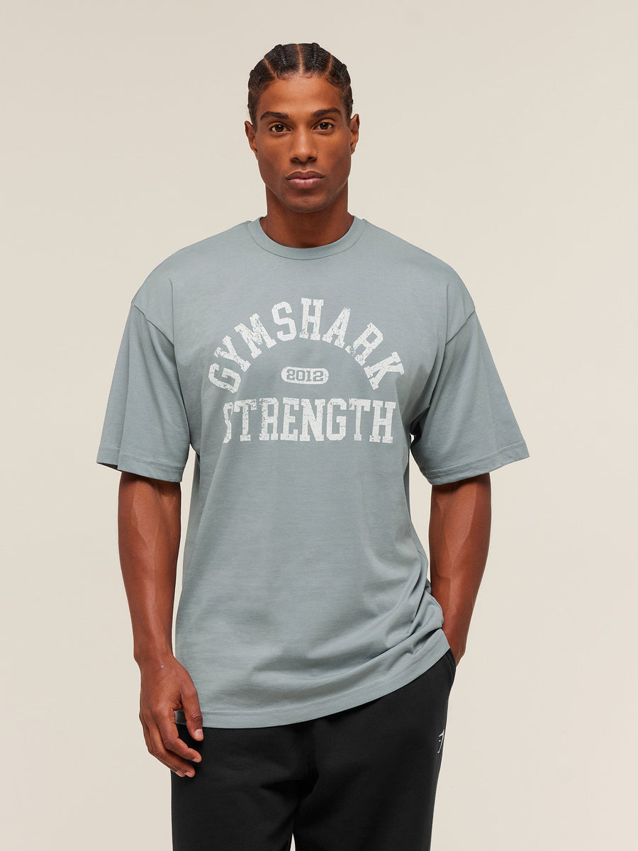 Gymshark 2012 Strength T-Shirt — Denim Grey — 6