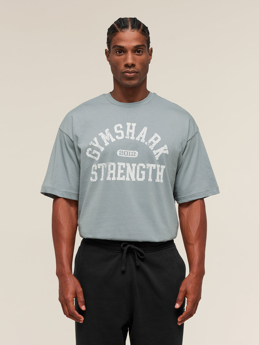 Gymshark 2012 Strength T-Shirt — Denim Grey — 1