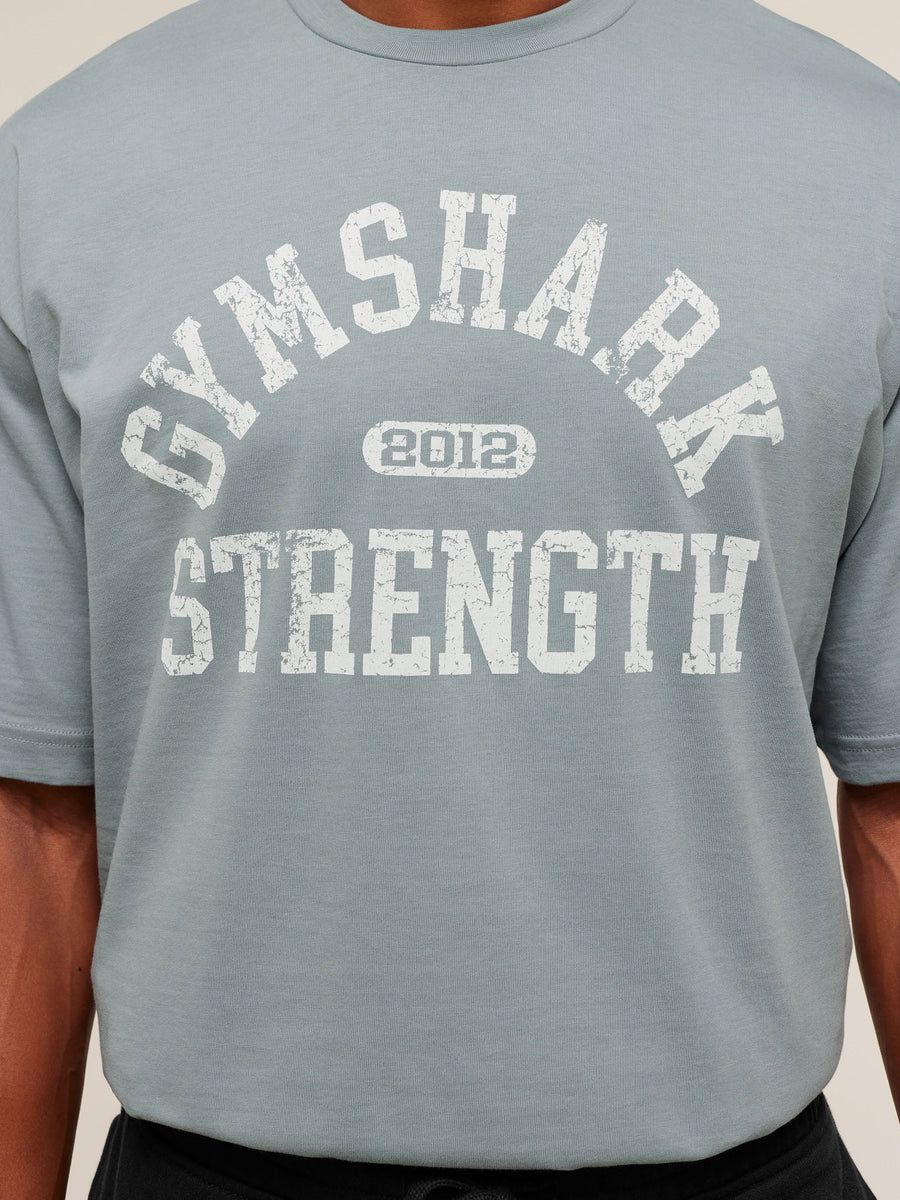 Gymshark 2012 Strength T-Shirt — Denim Grey — 4
