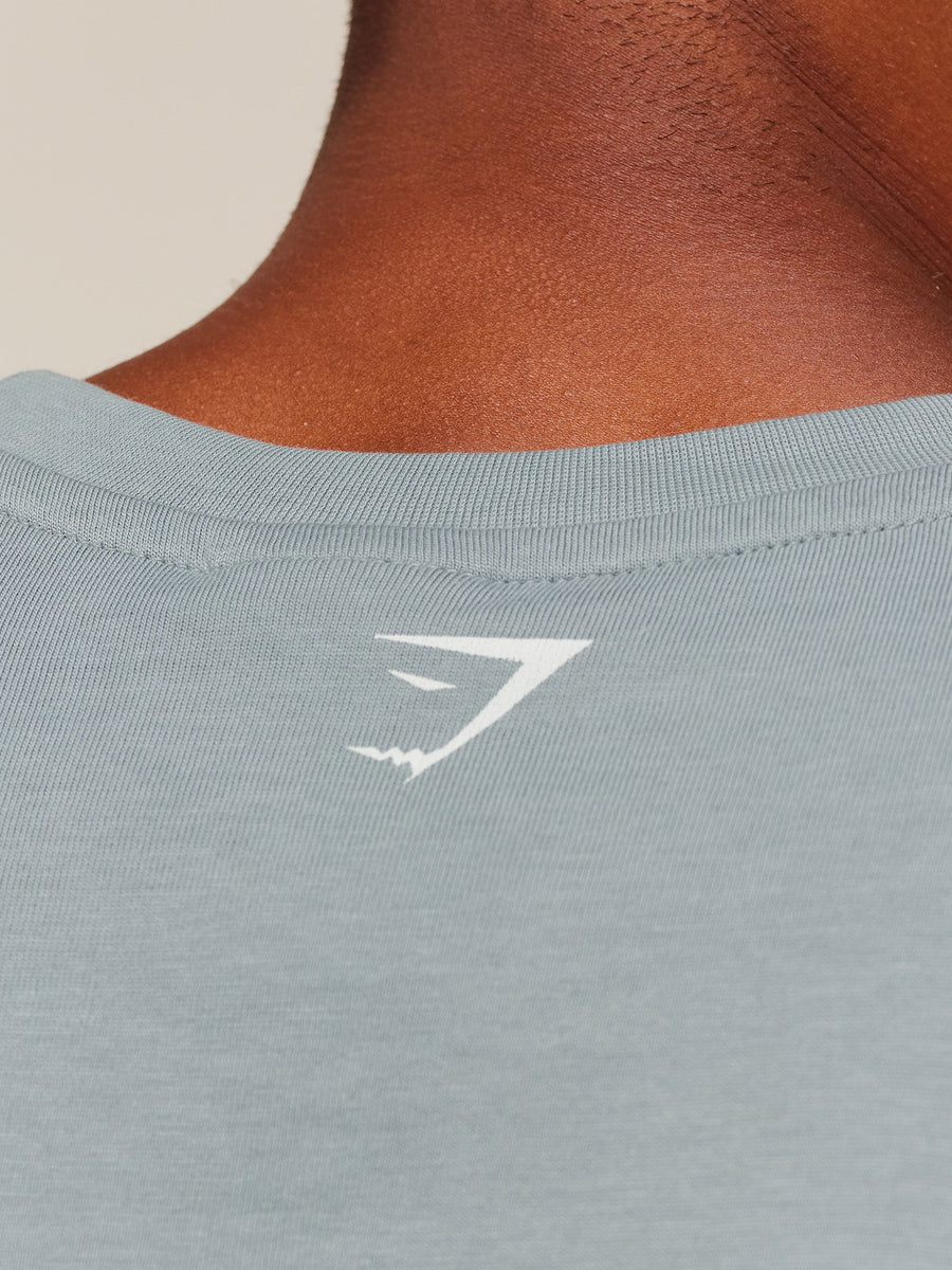 Gymshark 2012 Strength T-Shirt — Denim Grey — 5