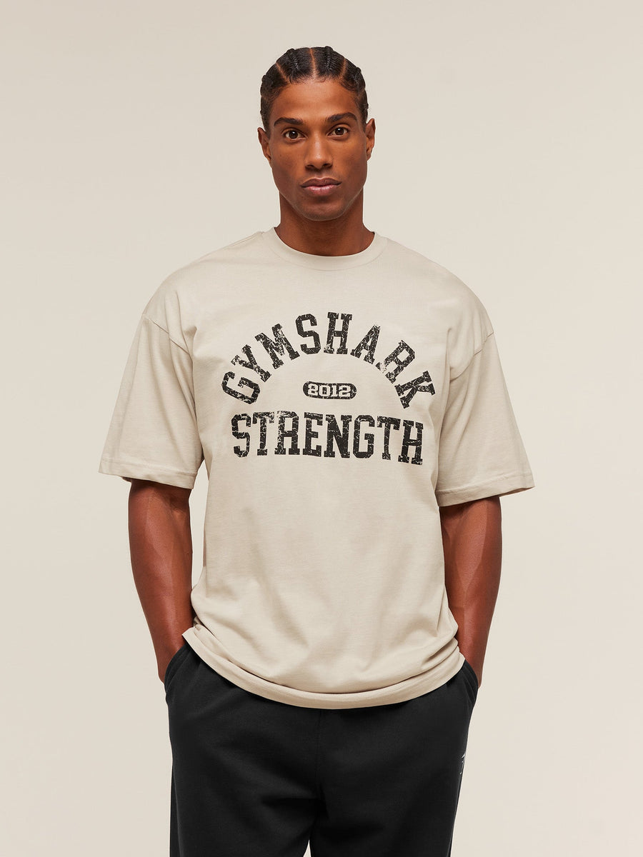 Gymshark 2012 Strength T-Shirt — Pebble Grey — 6