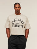 Gymshark 2012 Strength T-Shirt — Pebble Grey — 1
