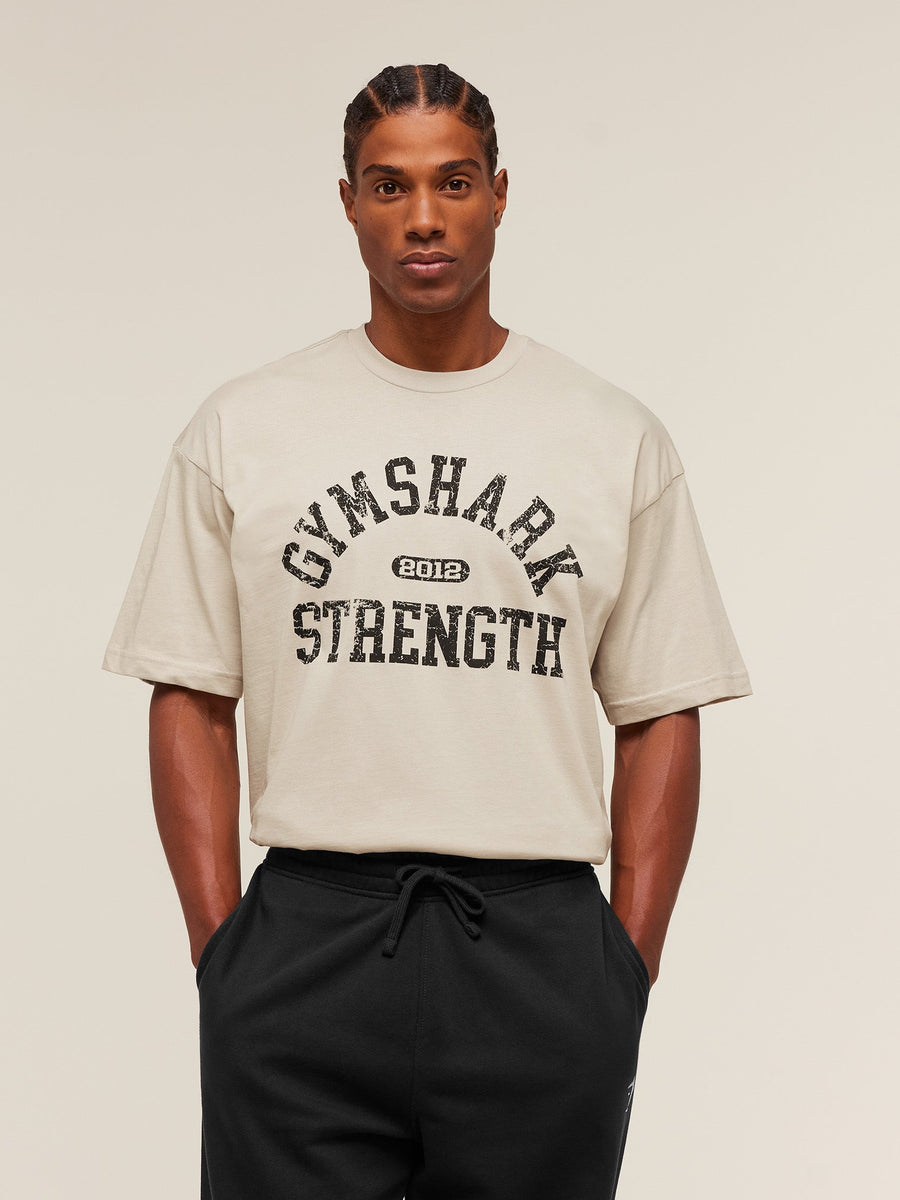 Gymshark 2012 Strength T-Shirt — Pebble Grey — 1