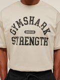 Gymshark 2012 Strength T-Shirt — Pebble Grey — 4