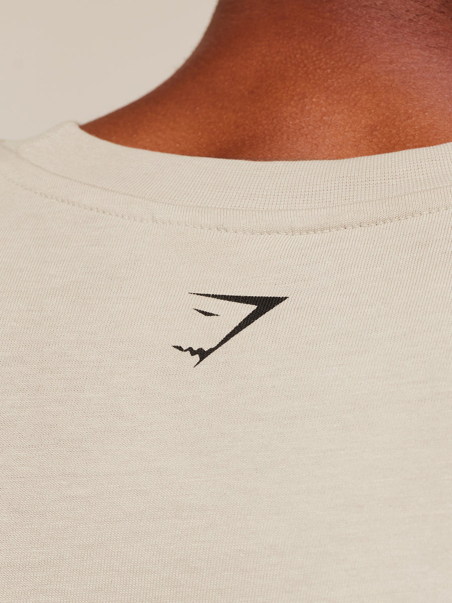 Gymshark 2012 Strength T-Shirt — Pebble Grey — 5