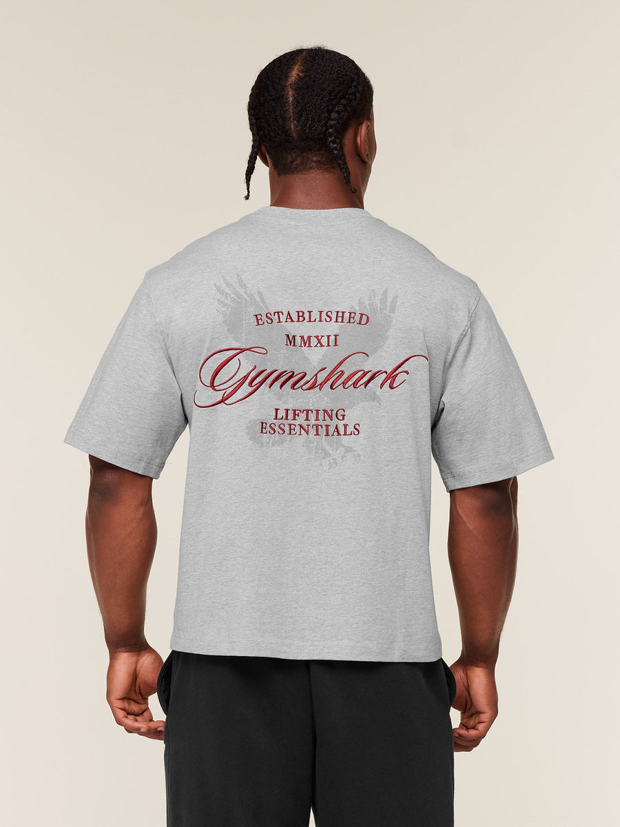 Gymshark Eagle Script Graphic T-Shirt — Light Grey Core Marl — 1