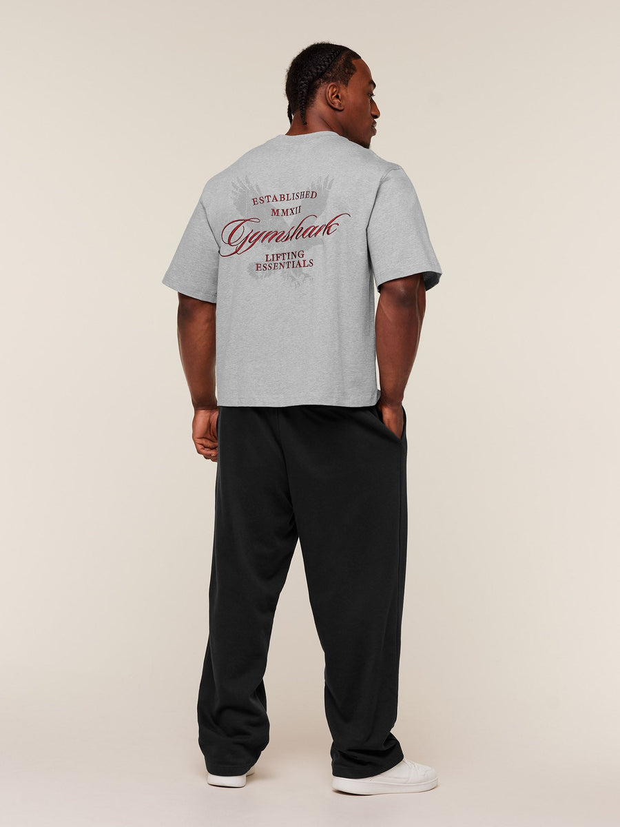 Gymshark Eagle Script Graphic T-Shirt — Light Grey Core Marl — 6