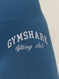 Gymshark Everyday Seamless Lifting Club Leggings — Compound Blue — 6