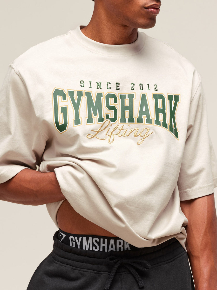 Gymshark Lifting Essentials T-Shirt — Pebble Grey — 4
