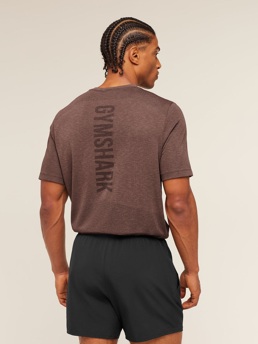 Gymshark Lightweight Seamless T-Shirt — Soft Brown/Marl — 2