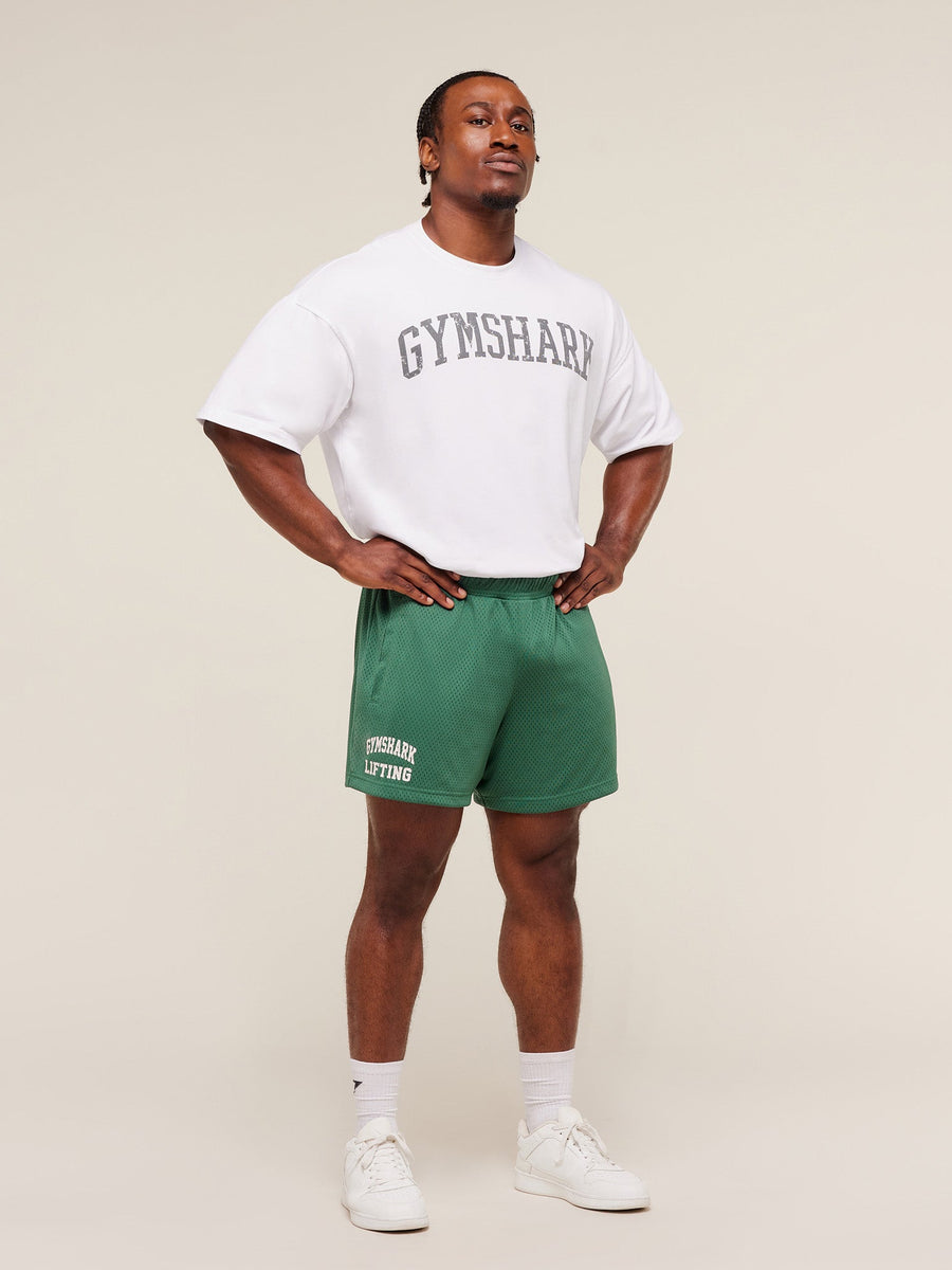 Gymshark Lifting Mesh 5
