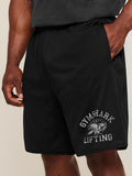 Gymshark Collective Mesh Shorts — Black — 6