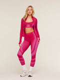 Gymshark Charge Seamless Leggings — GS Build Pink/GS Fetch Pink — 6