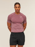 Gymshark Vital Seamless T-Shirt — White/Port — 4